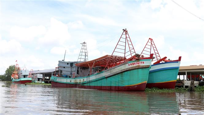 Chương trình quốc gia phát triển khai thác thủy sản hiệu quả, bền vững - Ảnh 1.