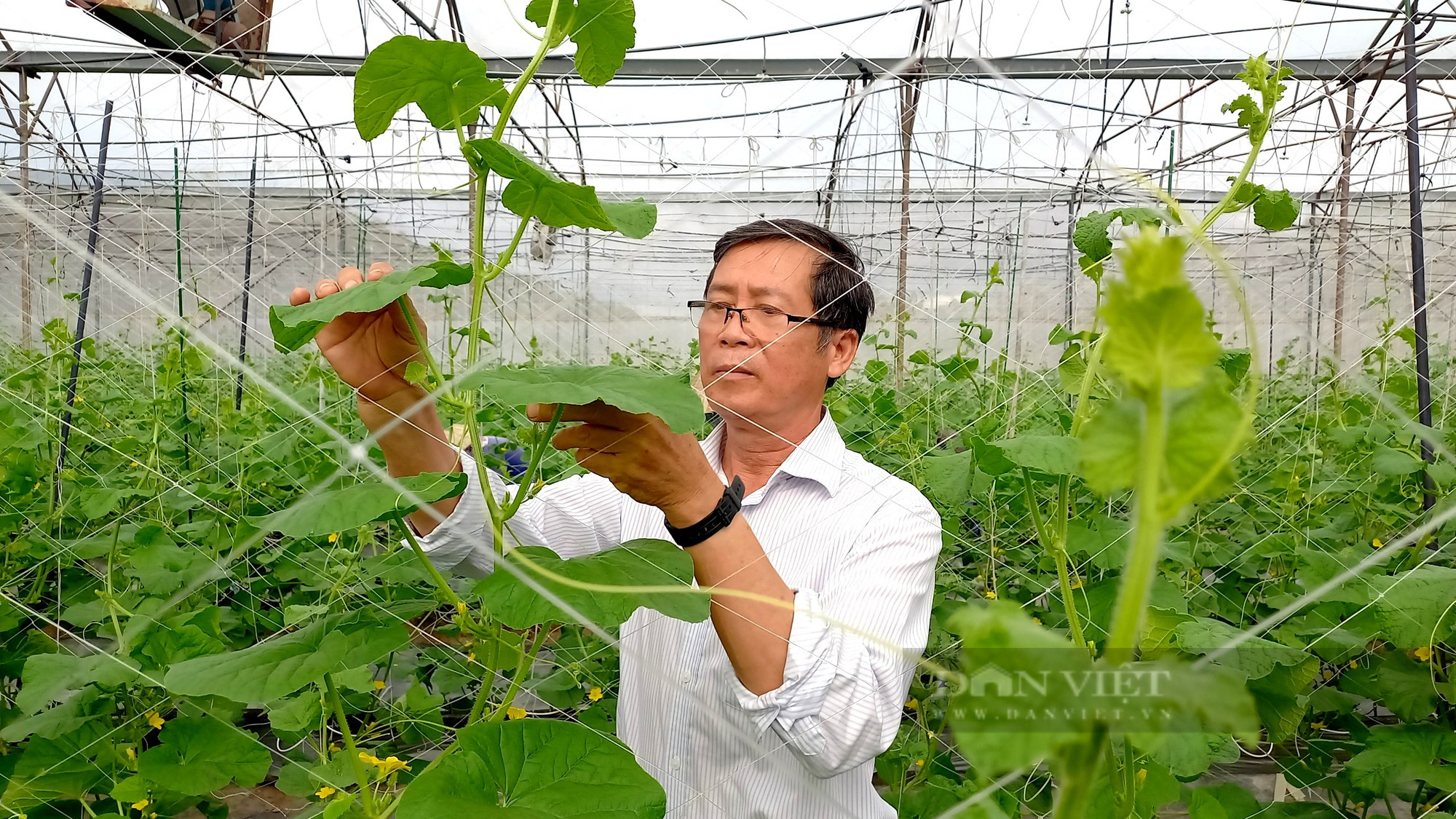Nông dân Việt Nam xuất sắc 2022 là người làm hạt giống bằng trái tim - Ảnh 1.