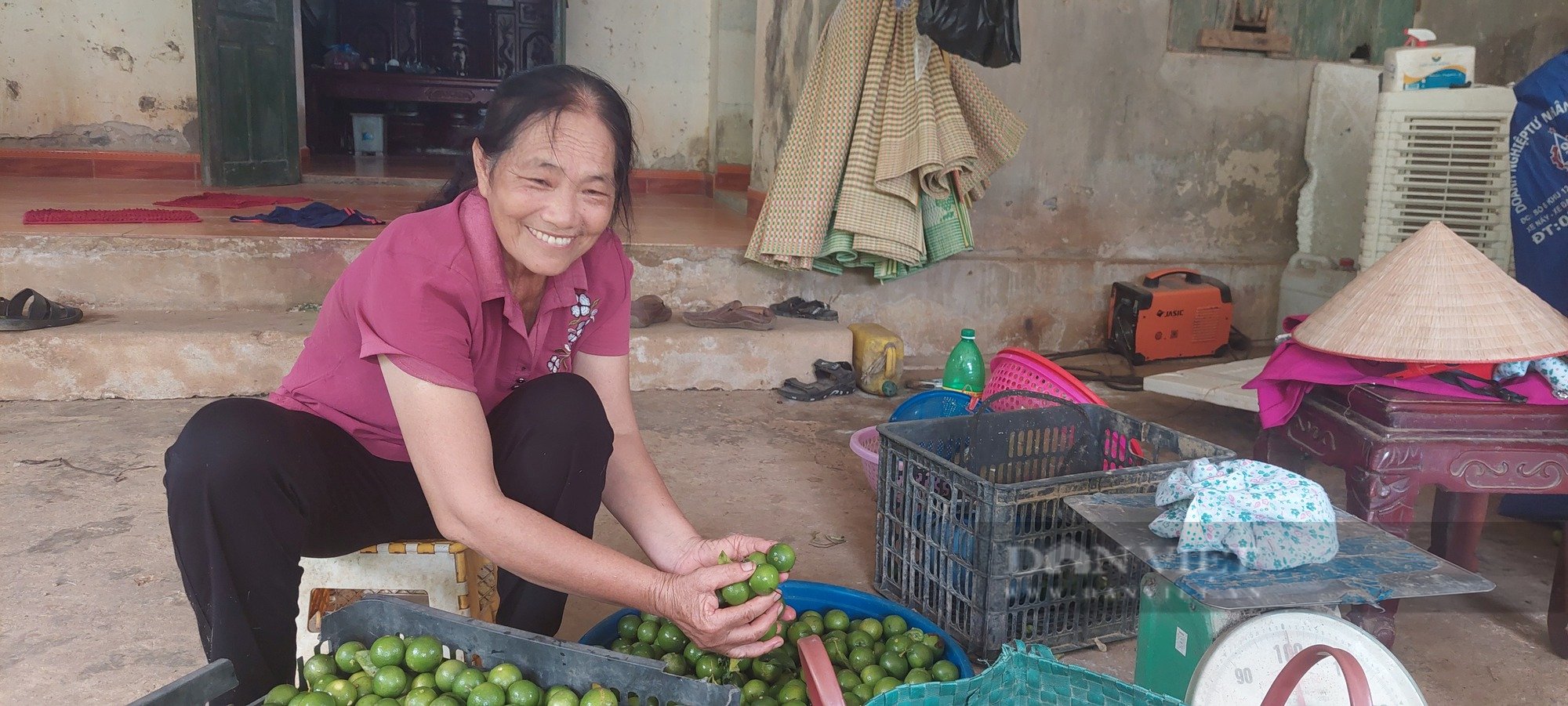 Nông dân Việt Nam xuất sắc 2022 ở Hòa Bình trồng đủ thứ cây, sờ đâu cũng thấy tiền - Ảnh 2.