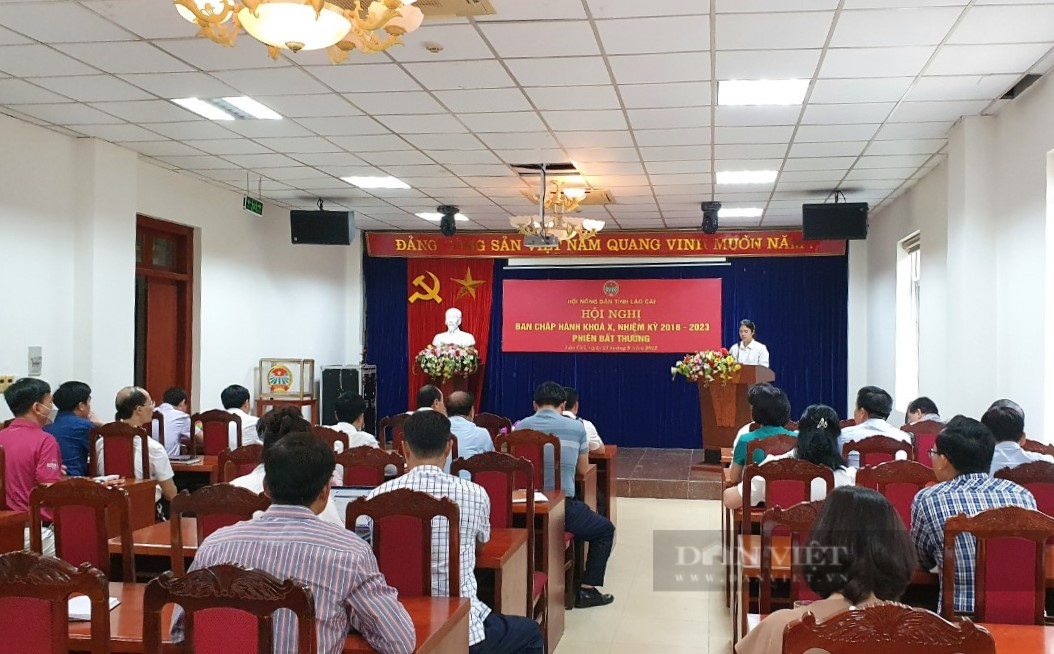 Bầu bổ sung chức danh Phó Chủ tịch Hội Nông dân tỉnh Lào Cai - Ảnh 1.