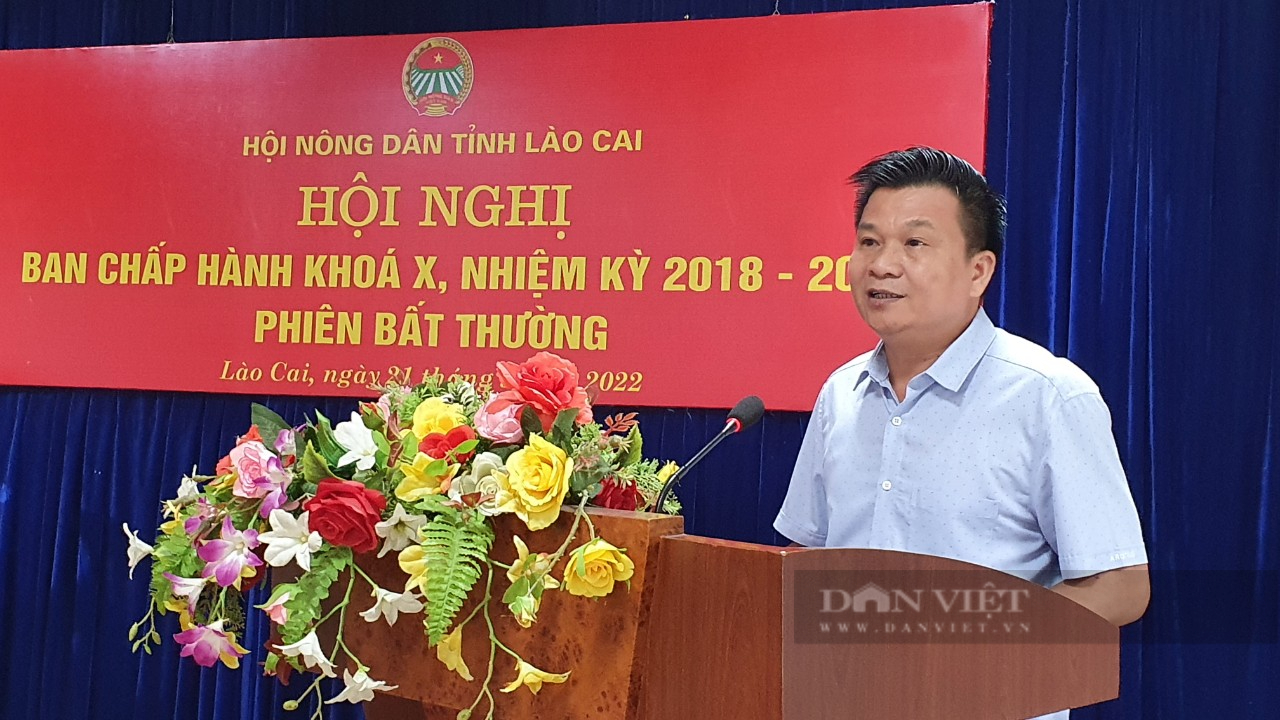 Bầu bổ sung chức danh Phó Chủ tịch Hội Nông dân tỉnh Lào Cai - Ảnh 4.