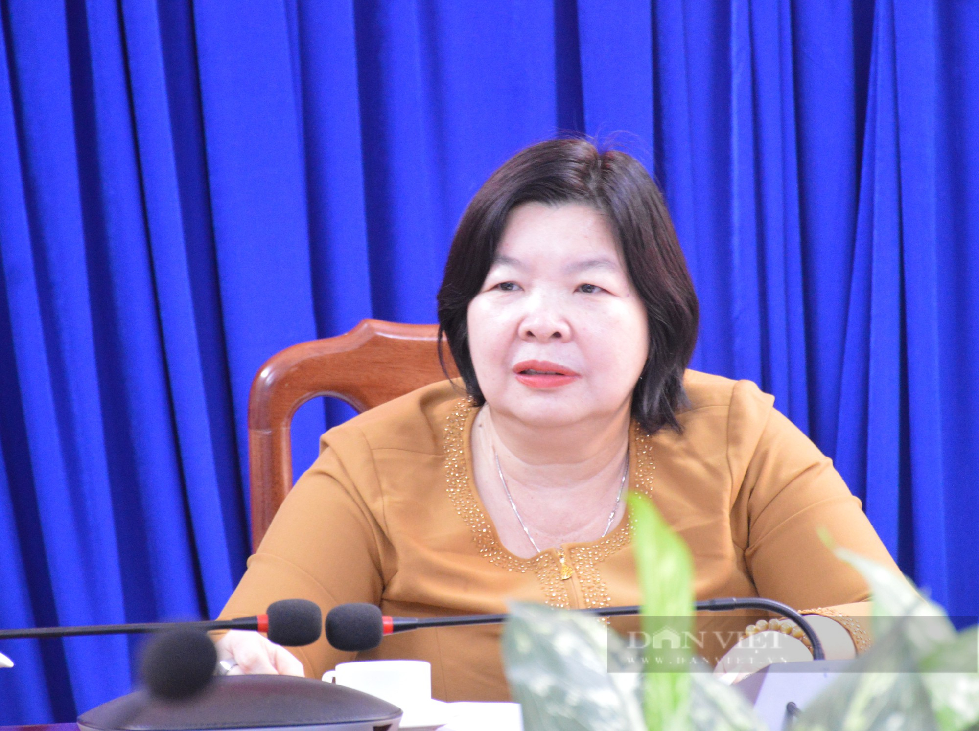 Phó Chủ tịch BCH TƯ Hội Nông dân Việt Nam Cao Xuân Thu Vân: Phải thành lập các chi hội nghề nghiệp - Ảnh 3.