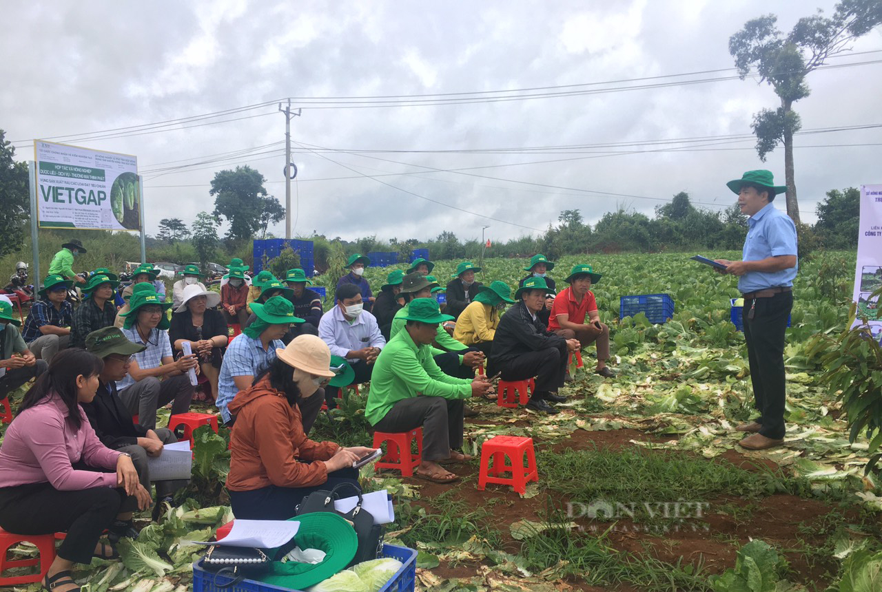 Liên kết sản xuất, nông dân Quảng Sơn không lo đầu ra, yên tâm về giá  - Ảnh 2.