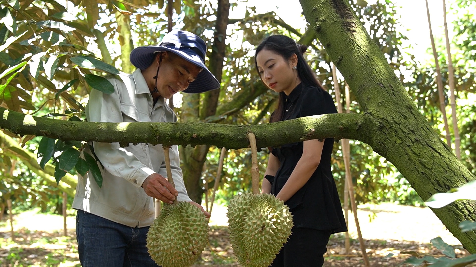 Lâm Đồng xuất khẩu sầu riêng chính ngạch sang Trung Quốc lần đầu tiên trên 70 tấn - Ảnh 4.