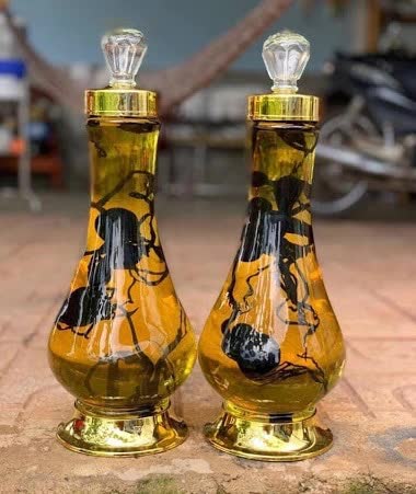 Giống nấm đen xì, nhìn rất khác lạ nhưng lại là của hiếm, đặc biệt bổ dưỡng - Ảnh 5. Giống nấm đen xì, nhìn rất khác lạ nhưng lại là của hiếm, đặc biệt bổ dưỡng - Ảnh 5.