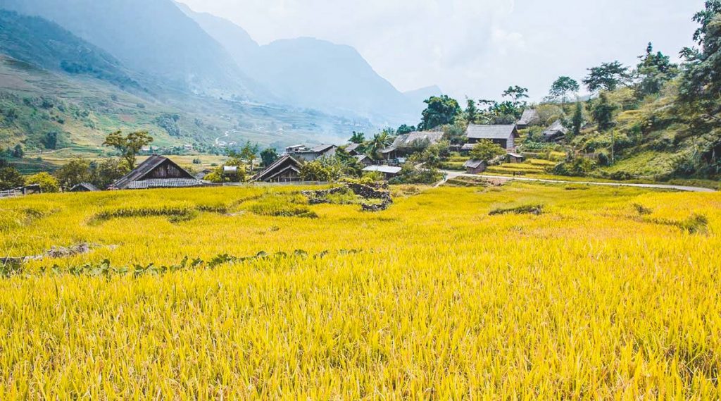 Du lịch Việt Nam với 10 trải nghiệm không thể bỏ qua dành cho dân đam mê xê dịch - Ảnh 5.