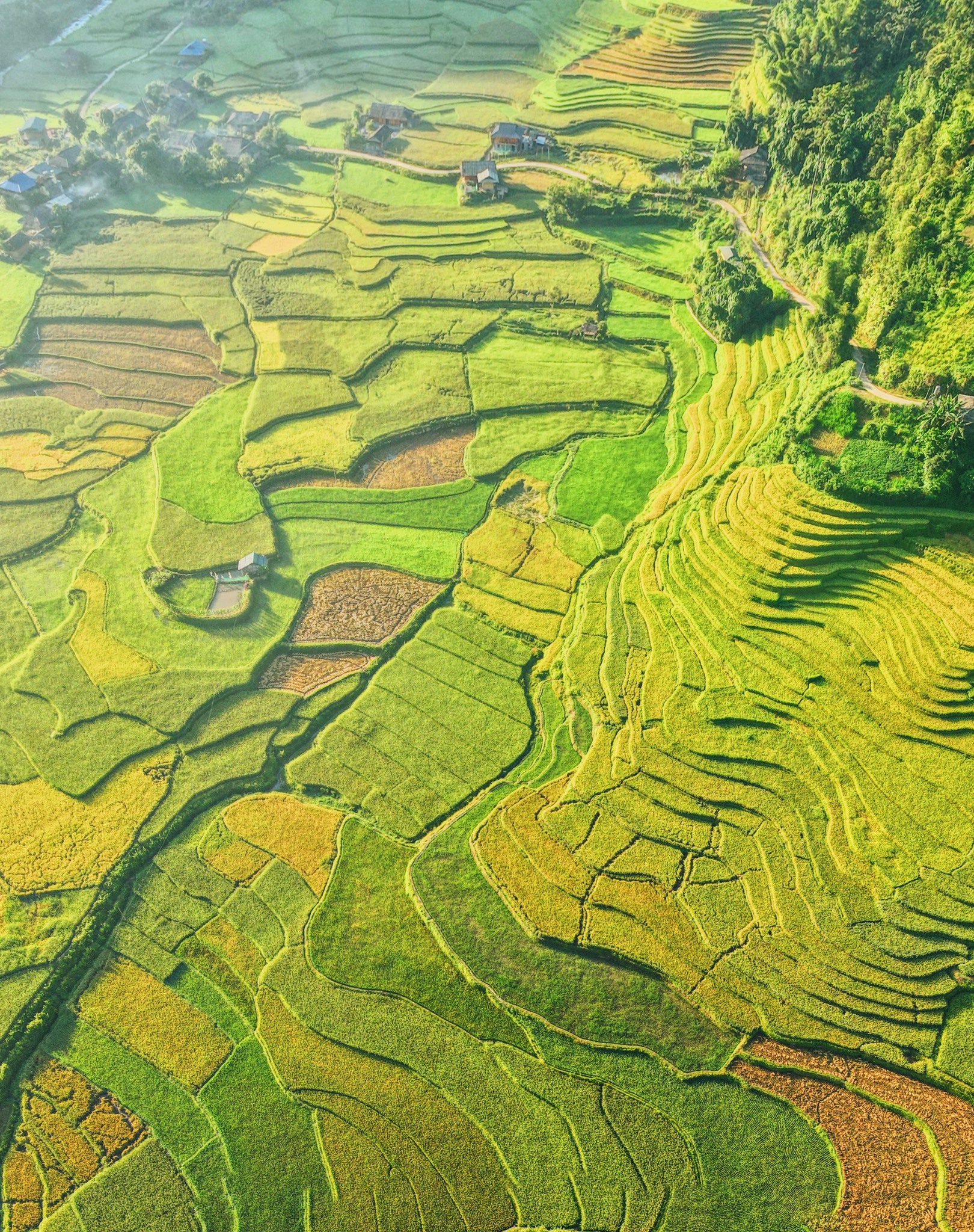 Kinh nghiệm “bay trên mùa vàng” mỗi độ vào thu ở Mù Cang Chải - Ảnh 6.