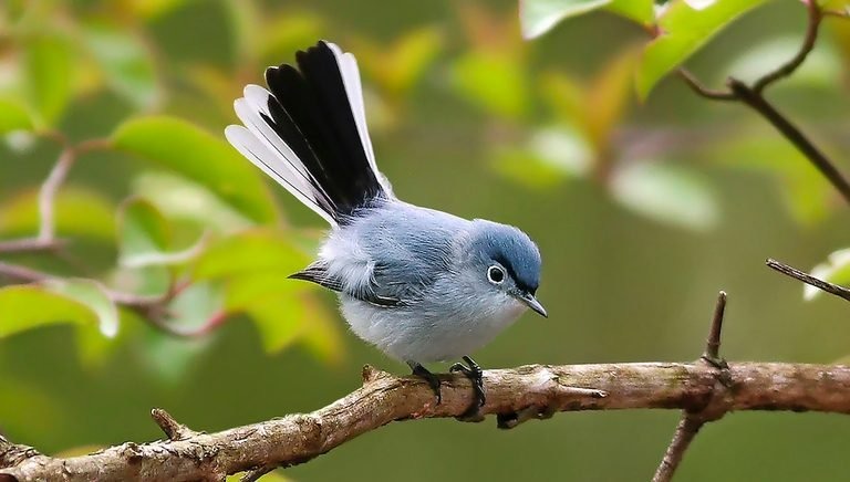 Sinh ngày Âm lịch này không làm mất lòng ai, bình an vẫn kiếm tiền, tài lộc không bao giờ lạnh - Ảnh 1.