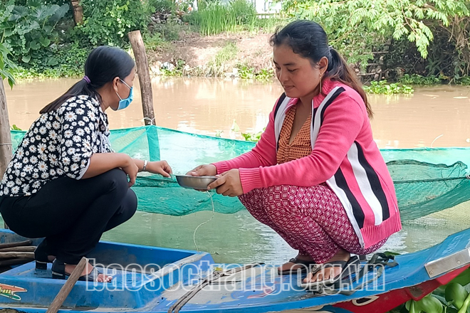 Nuôi cá lóc trong vèo mang lại hiệu quả kinh tế cao - Ảnh 1.