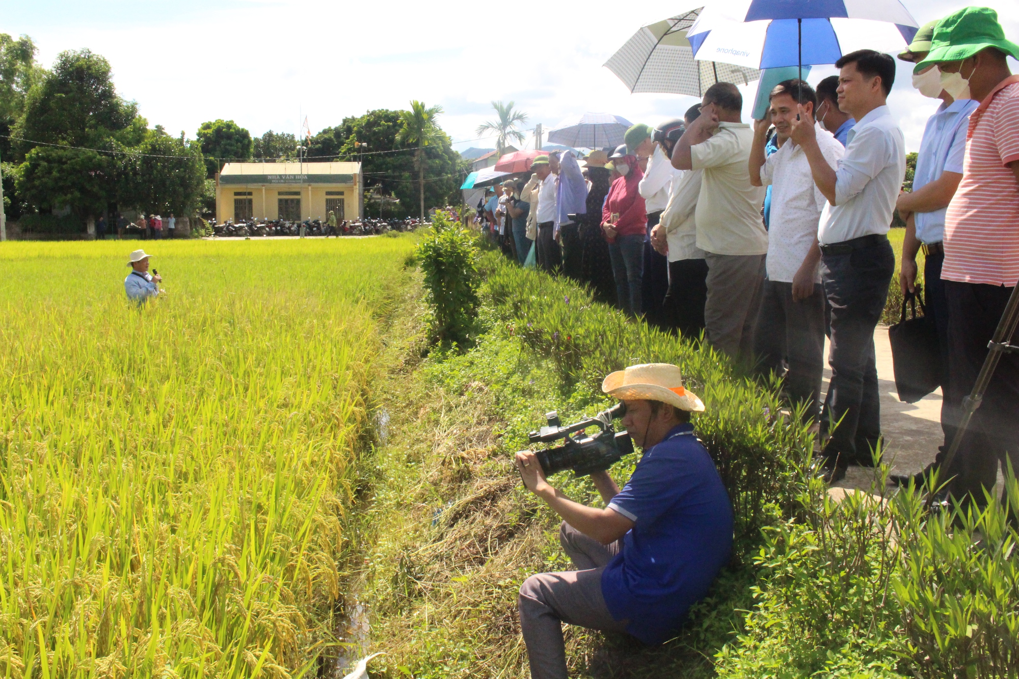 &quot;Lên đời&quot; hạt gạo Mường Thanh bằng tiến bộ kỹ thuật mới, nhà nông thu lãi cao hơn 21-53% - Ảnh 3.
