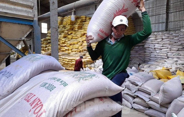 Xuất khẩu gạo Việt Nam có thể vượt 6,5 triệu tấn - Ảnh 1.