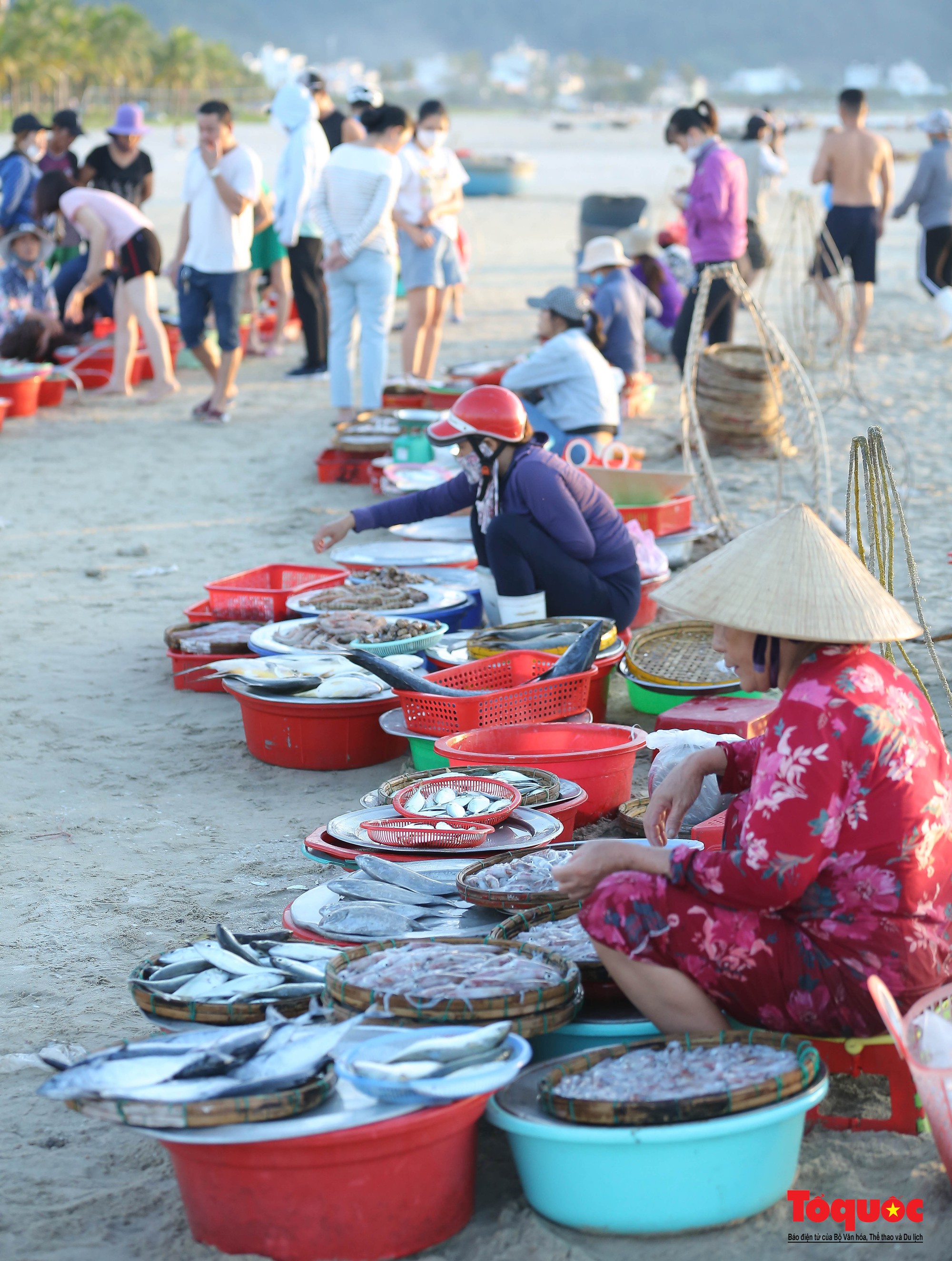 Ghé chợ hải sản tươi rói bên bờ biển Đà Nẵng lúc bình minh - Ảnh 11.
