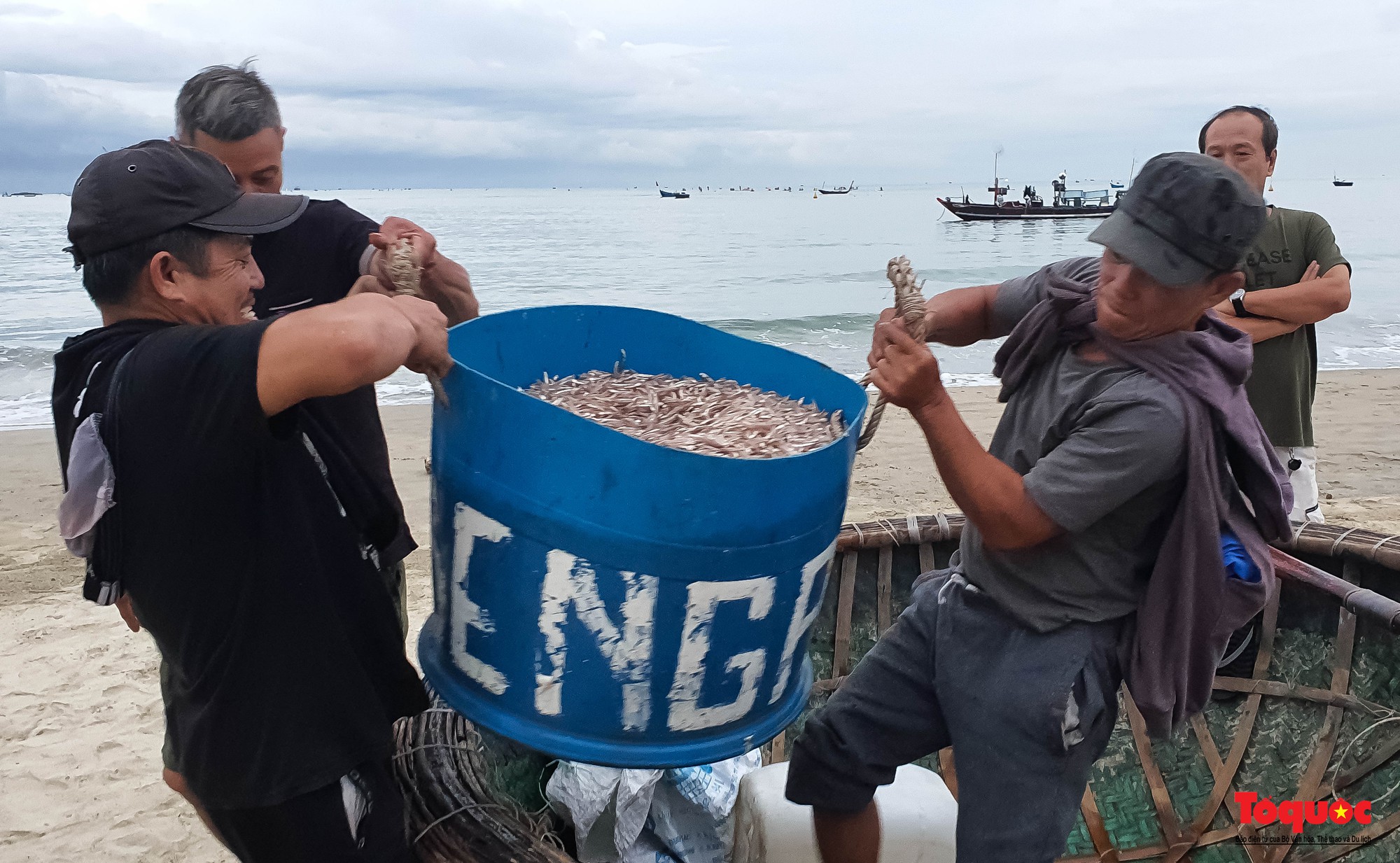 Ghé chợ hải sản tươi rói bên bờ biển Đà Nẵng lúc bình minh - Ảnh 5.