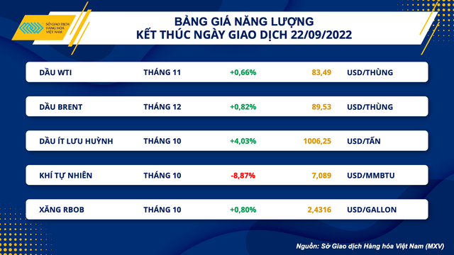 Thị trường dầu thô thế giới sẽ còn đối mặt với nhiều &quot;rung lắc&quot; - Ảnh 1.