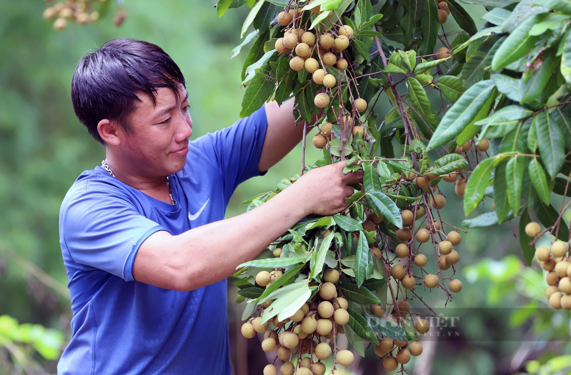 Thúc đẩy đăng ký bảo hộ nhãn hiệu, chỉ dẫn địa lý của Việt Nam ở nước ngoài - Ảnh 8.