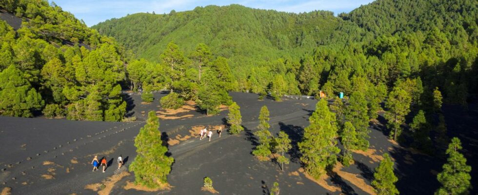 Hòn đảo tươi đẹp hút khách du lịch vì núi lửa phun trào - Ảnh 1.