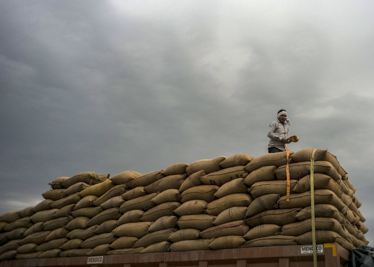 Chính phủ Ấn Độ gia hạn thời hạn cấm xuất khẩu gạo tấm để giảm bớt tắc nghẽn tại cảng. Ảnh: @AFP.