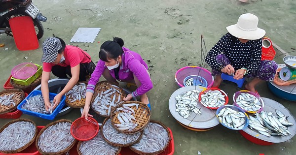 Chợ đầu mối thủy sản Thọ Quang tại Đà Nẵng có nổi tiếng với các sản phẩm hải sản nào?