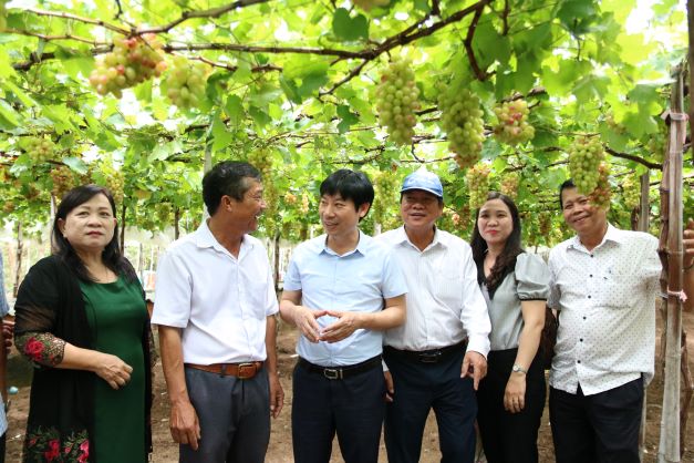 Ninh Thuận: Kiện toàn tổ chức Hội nông dân, phát triển mới hơn 2.560 hội viên  - Ảnh 2.