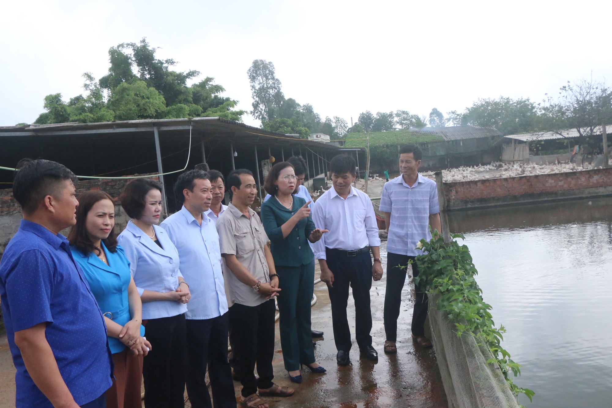 Phó Chủ tịch Hội Nông dân Việt Nam Bùi Thị Thơm ấn tượng với mô hình chi hội nghề nghiệp nuôi vịt ở Hưng Yên- Ảnh 1.