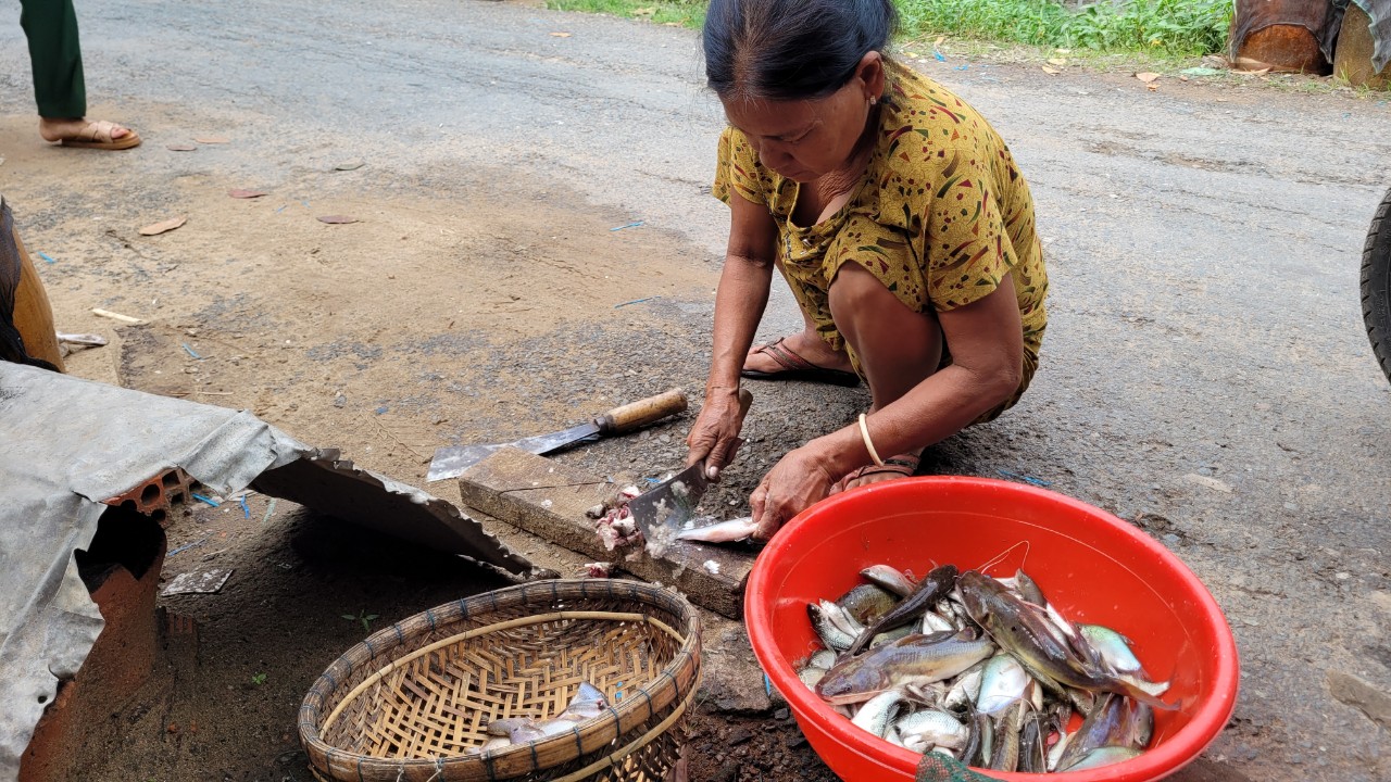 Đánh bắt đồng xa mùa nước nổi ở miền Tây - Ảnh 1.