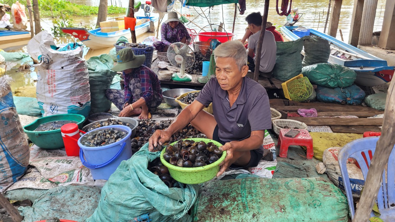 Đánh bắt đồng xa mùa nước nổi ở miền Tây - Ảnh 10.