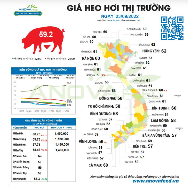 Giá lợn hơi có thể sớm giảm &quot;mất đầu số 6&quot; - Ảnh 1.