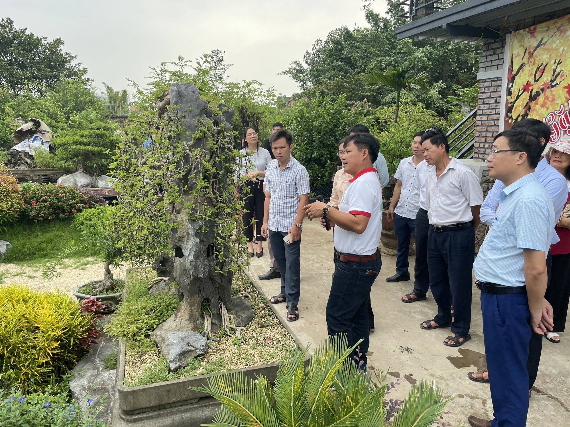 Một làng ở Hà Nội thu hàng chục tỷ đồng nhờ làm đẹp cho cây, du khách thích thú đến xem   - Ảnh 1.