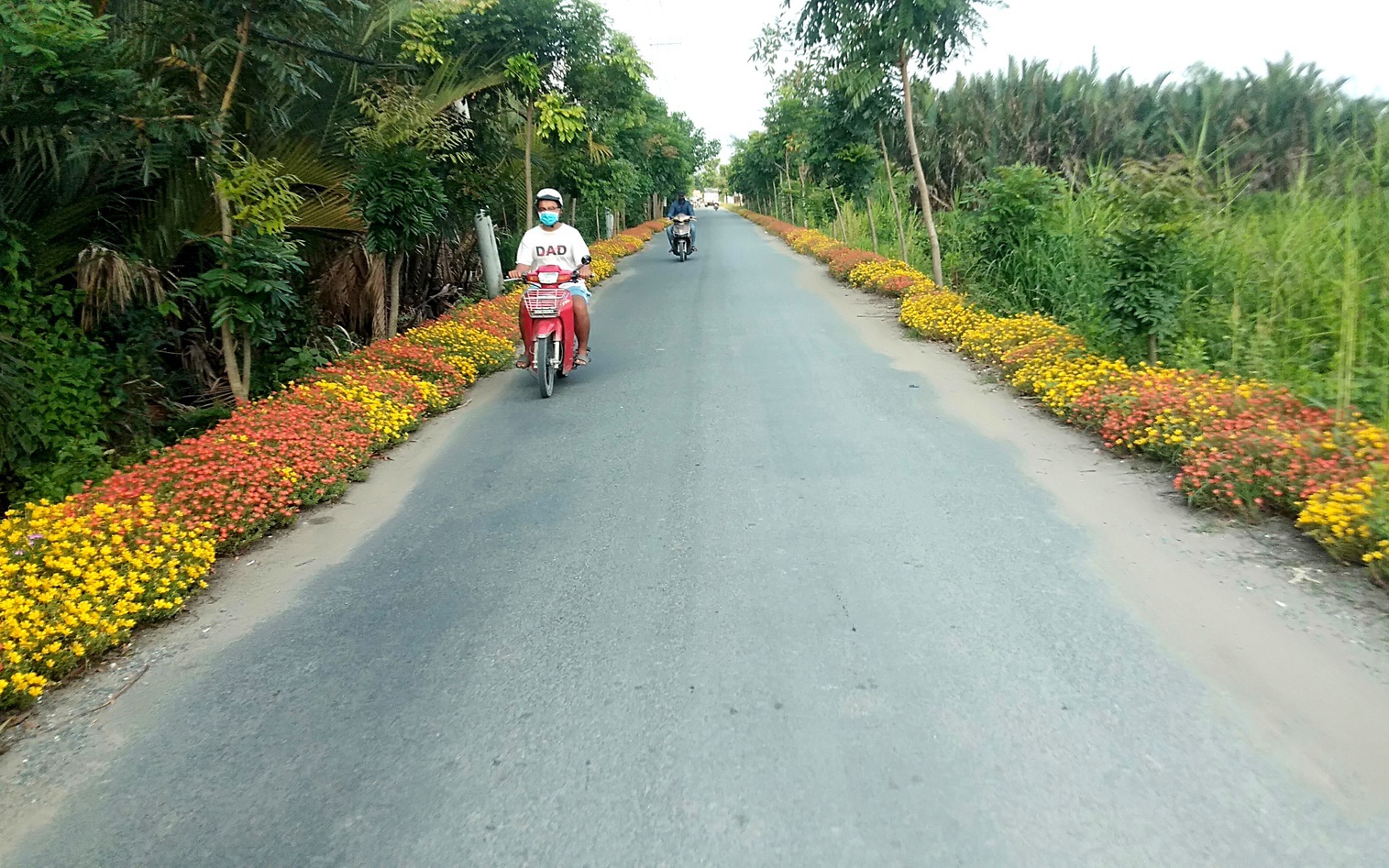 Các huyện nông thôn mới TP.HCM quy hoạch chỉnh trang địa bàn