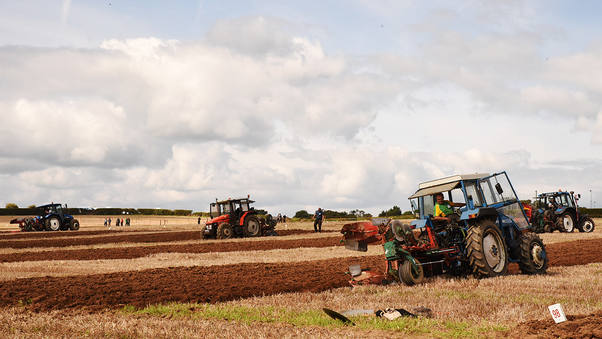 National Ploughing Championships - Cuộc trình diễn nông nghiệp lớn nhất châu Âu - Ảnh 2.