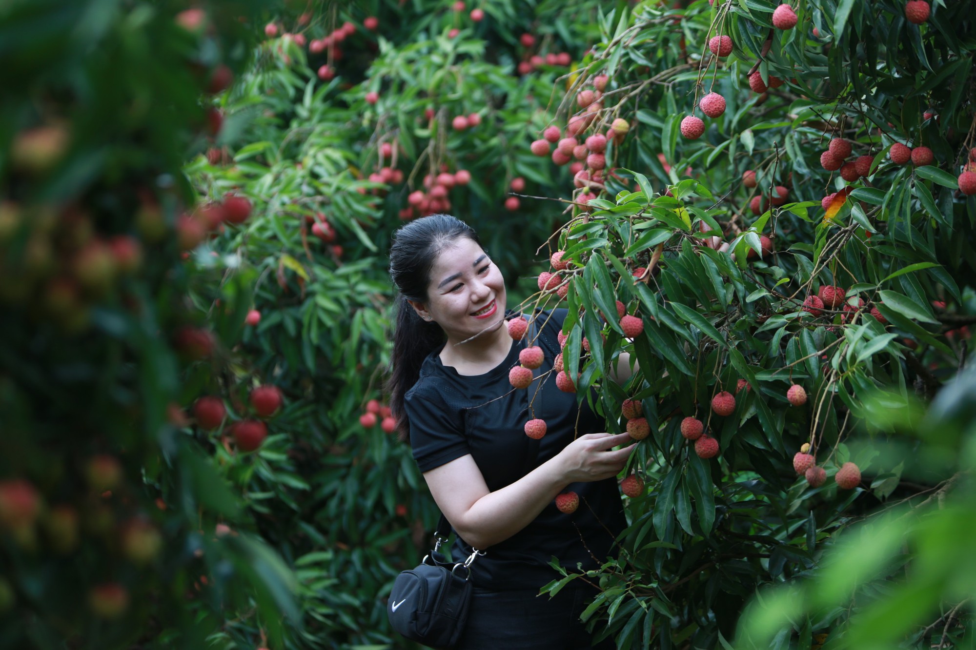 Câu chuyện người nông dân Bắc Giang làm du lịch - Bài 1: - Ảnh 1.