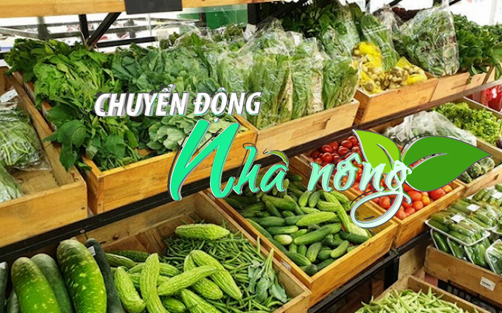 Chuyển động Nhà nông 24/9: Đề nghị thanh tra đột xuất nếu có dấu hiệu tuồn rau sạch "dởm" vào siêu thị