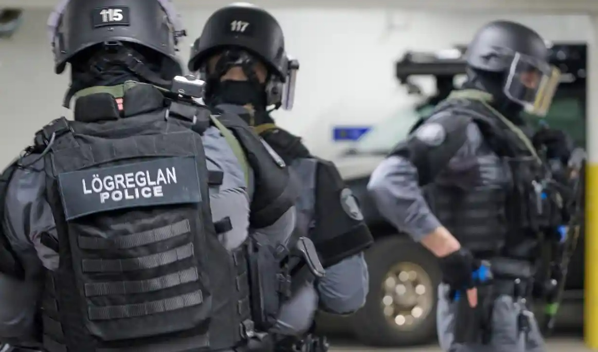 Iceland đập tan âm mưu tấn công khủng bố, bắt giữ 4 nghi phạm - Ảnh 1.