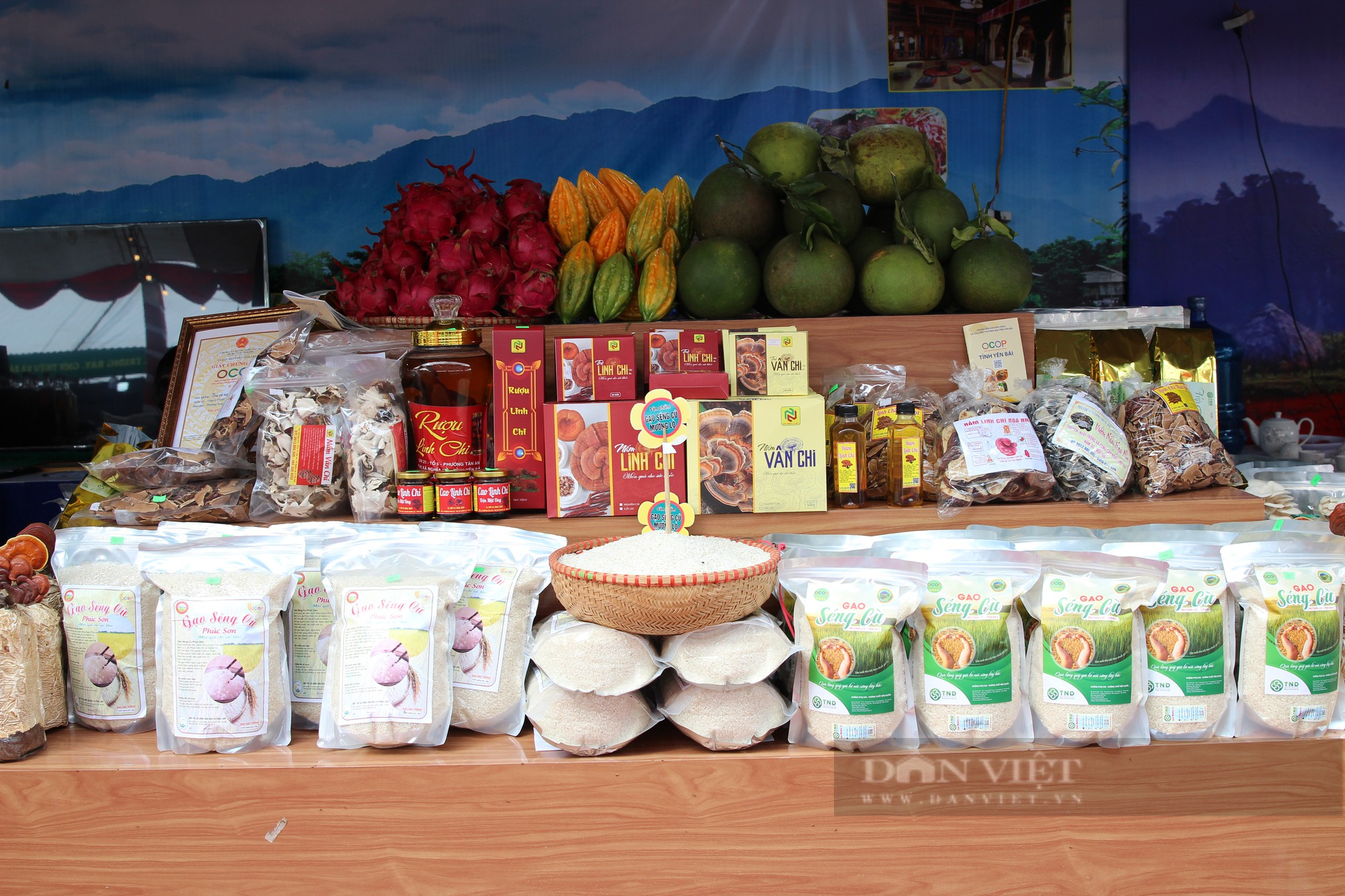 Hàng trăm sản phẩm chất lượng của nông dân 8 tỉnh Tây bắc hội tụ tại Nghĩa Lộ - Ảnh 10.