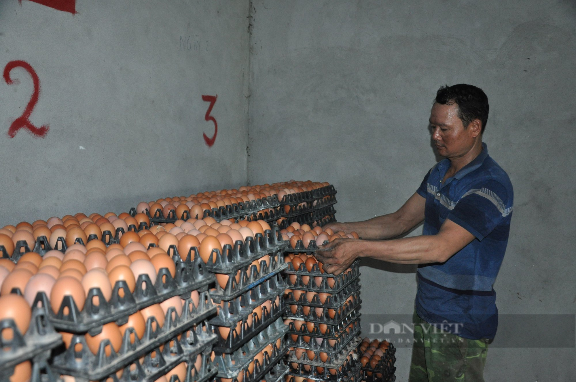 Nông dân Việt Nam xuất sắc 2022 ở Hải Dương là ông chủ trang trại 6 vạn gà đẻ trứng - Ảnh 6.