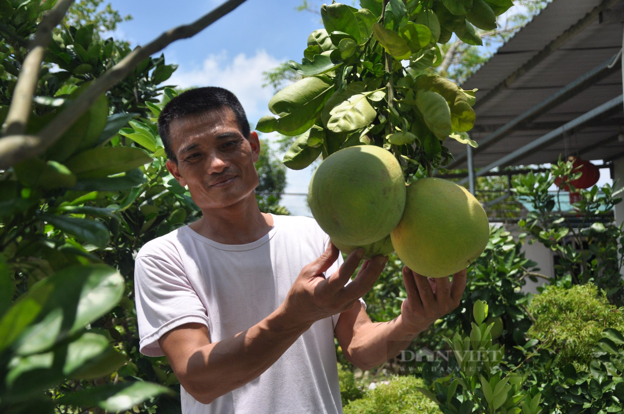 Nông dân Việt Nam xuất sắc 2022 ở Hải Dương là ông chủ trang trại 6 vạn gà đẻ trứng - Ảnh 9.