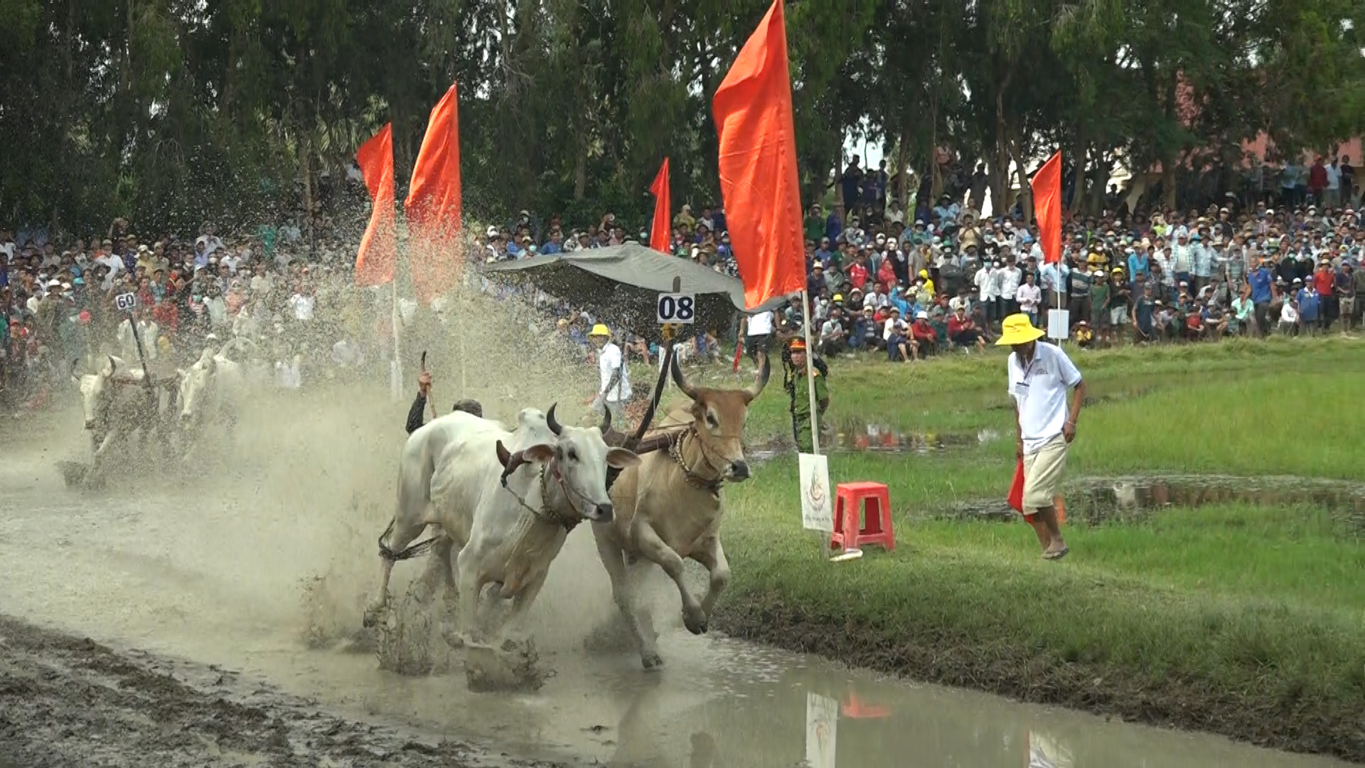 Cặp bò số 8 đến từ huyện Tri Tôn giành giải Nhất tại &quot;Lễ hội đua bò Bảy Núi&quot; ở tỉnh An Giang - Ảnh 4.