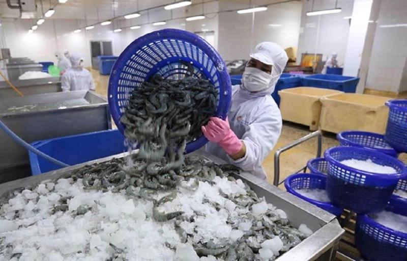 Xuất khẩu tôm cán mốc 3 tỷ USD sau 8 tháng - Ảnh 1.
