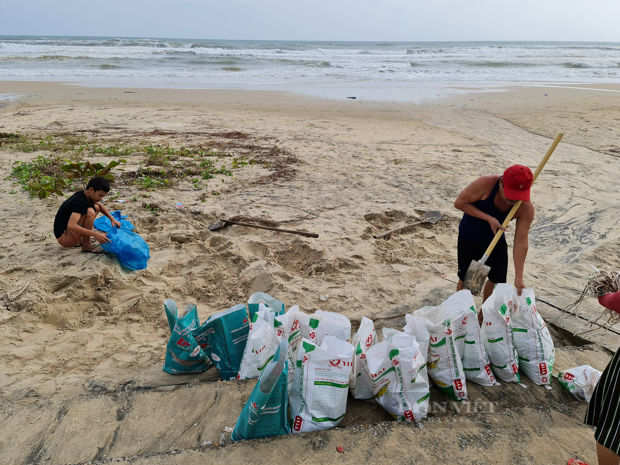 Quảng Nam ứng phó bão Noru: Ngành nông nghiệp khẩn trương giúp dân - Ảnh 2.