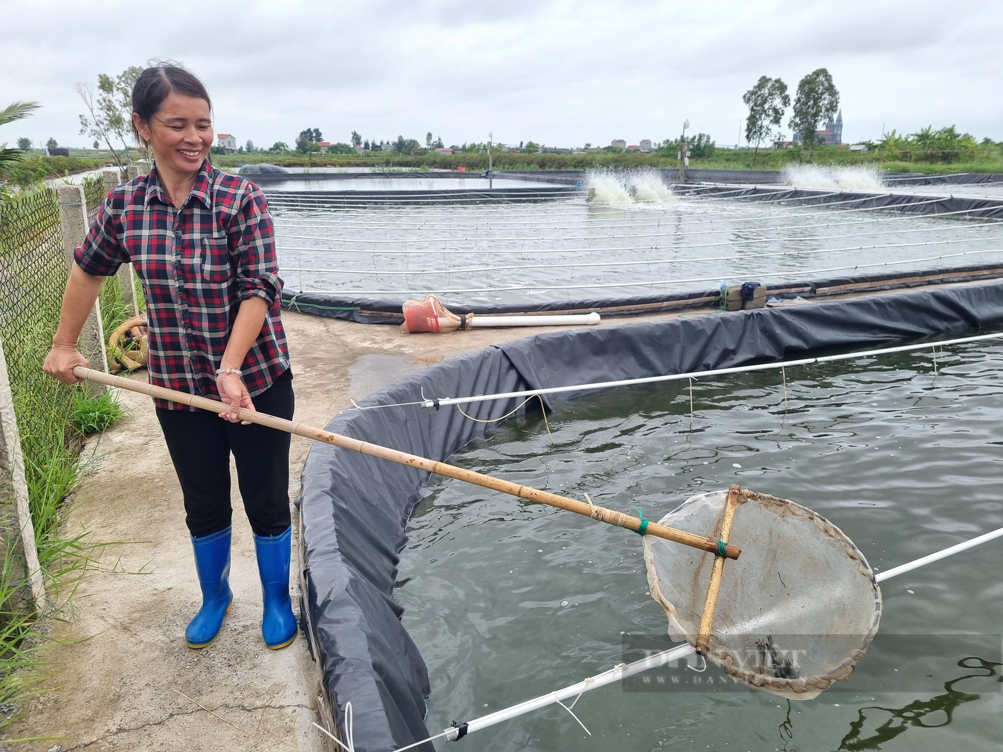 Ninh Bình: Một hộ nông dân nuôi tôm thẻ chân trắng lời gần 400 triệu đồng/năm - Ảnh 6.