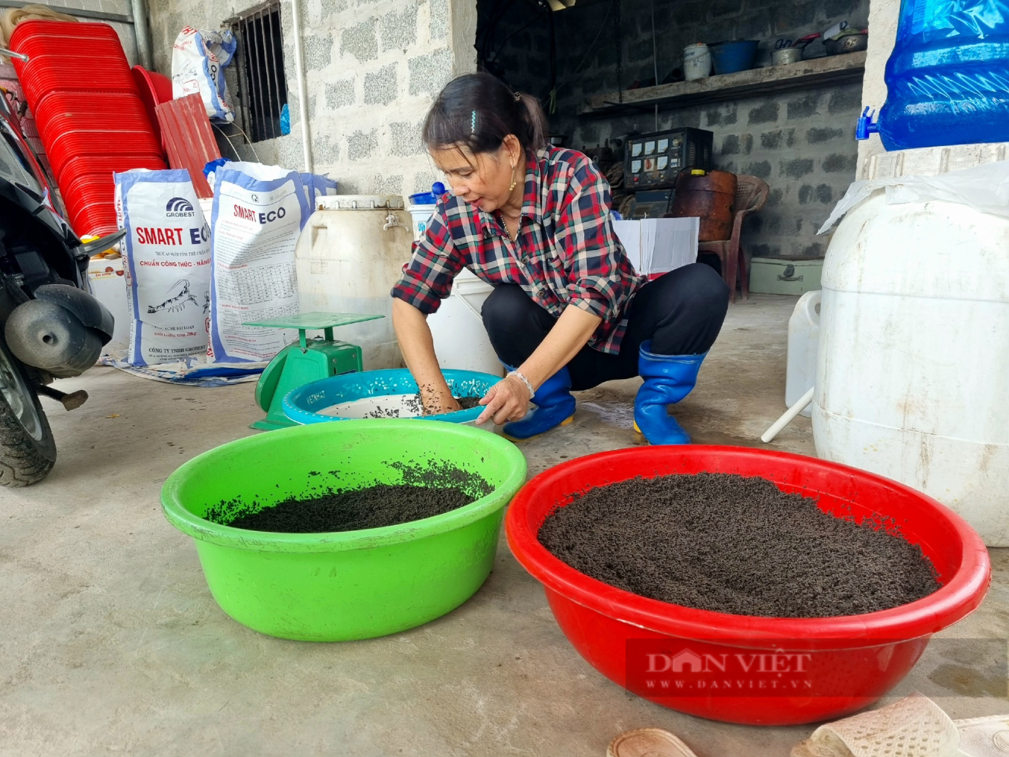 Ninh Bình: Một hộ nông dân nuôi tôm thẻ chân trắng lời gần 400 triệu đồng/năm - Ảnh 7.