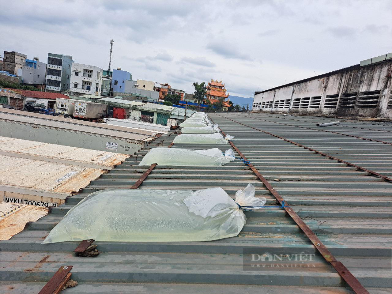Người dân Bình Định cấp tốc đổ nước vào túi nilon chèn mái nhà chống bão - Ảnh 3.