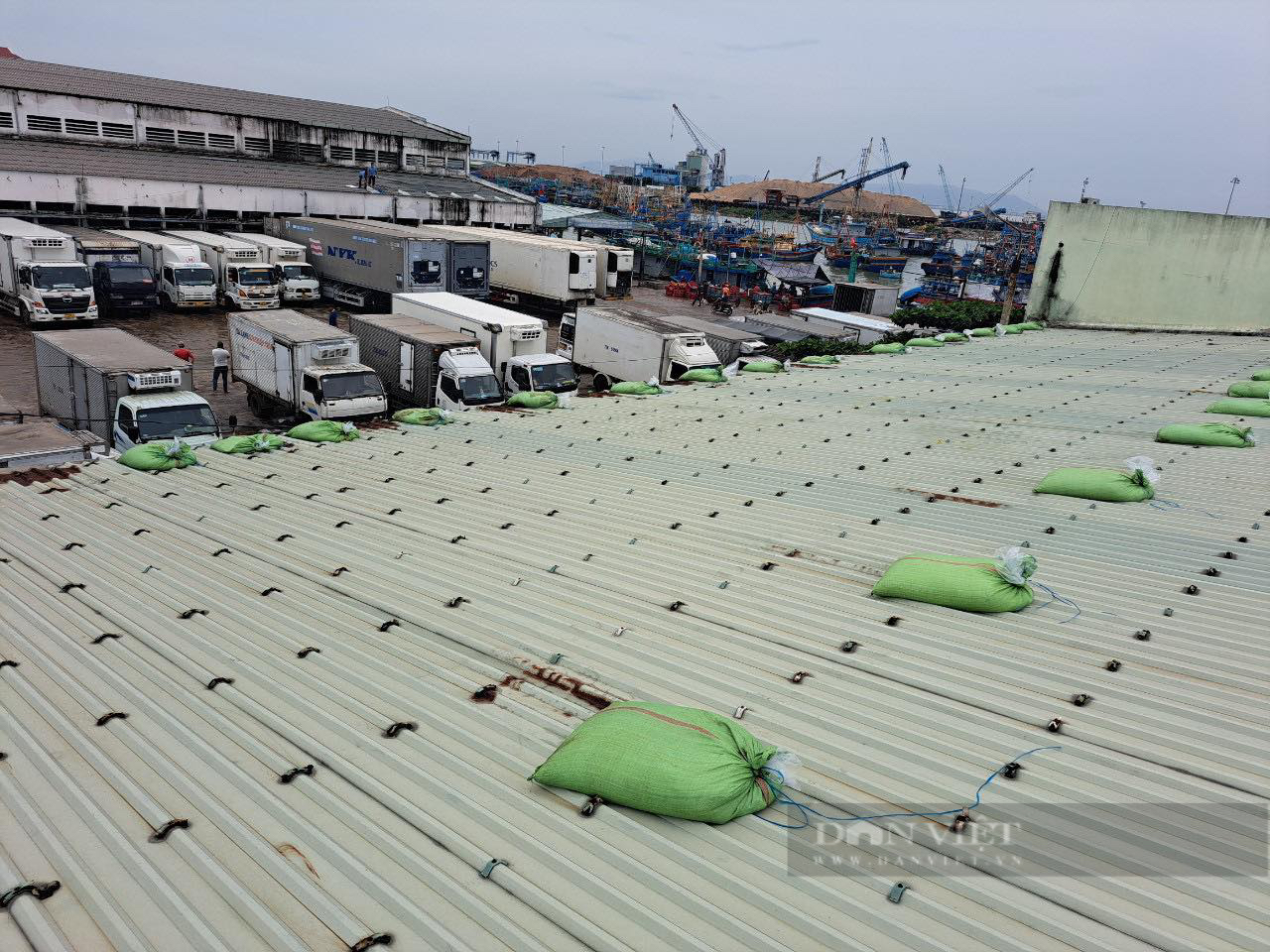 Người dân Bình Định cấp tốc đổ nước vào túi nilon chèn mái nhà chống bão - Ảnh 5.
