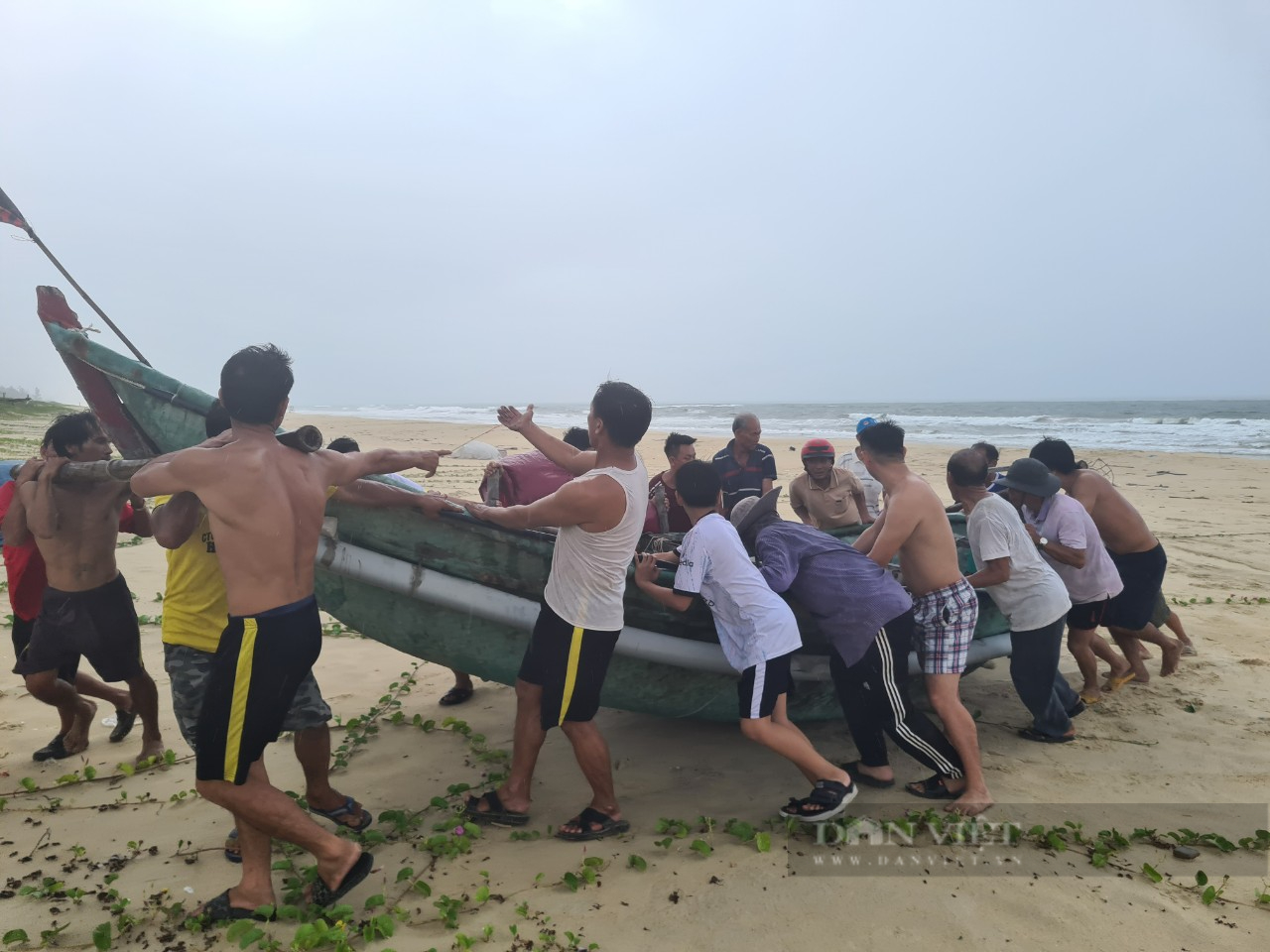 Quảng Nam ứng phó bão Noru: Ngành nông nghiệp khẩn trương giúp dân - Ảnh 3.