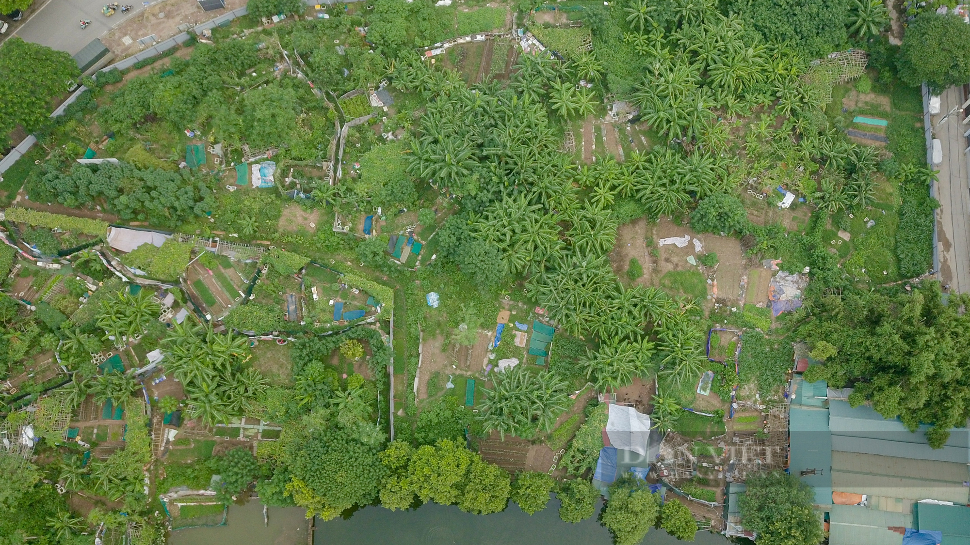 Cận cảnh các khu đất trường học, cây xanh ở Hà Nội bị quy hoạch vào nghĩa trang ở Thủ đô  - Ảnh 4.