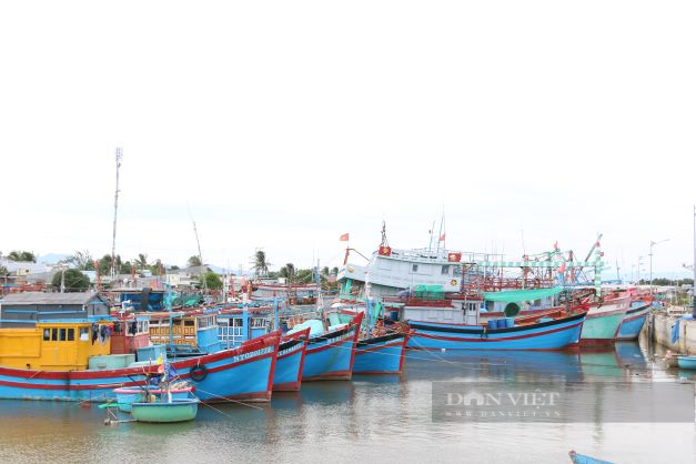 Ninh Thuận: Cấm tàu thuyền ra khơi để phòng chống bão số 4 – Noru - Ảnh 1.