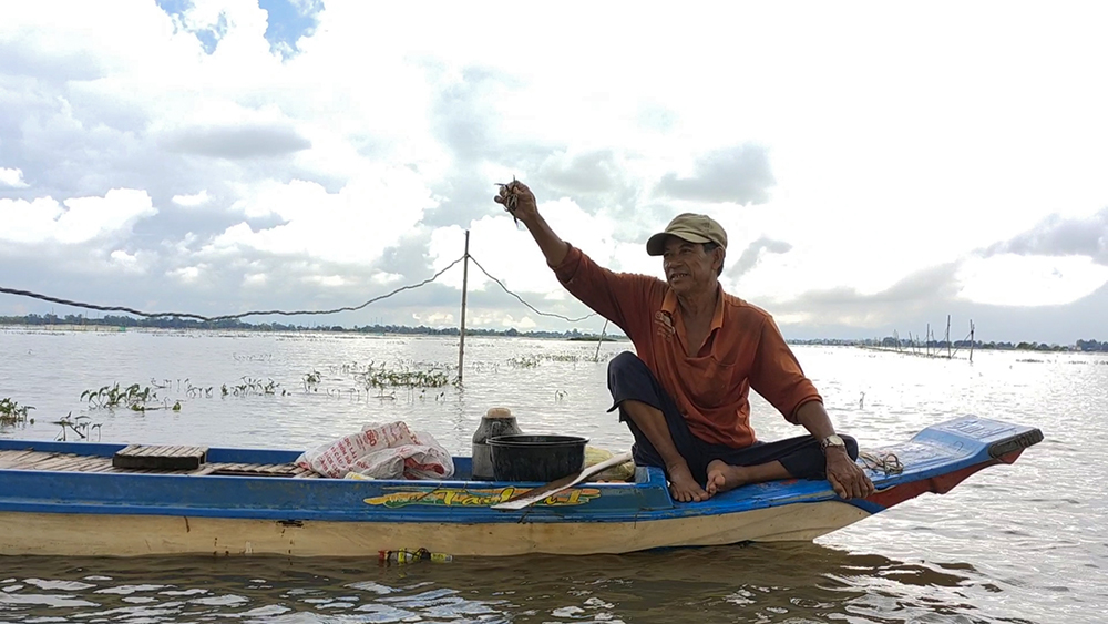 Mùa nước nổi về biên giới Tân Châu, ngư dân dỡ ụ bất ngờ &quot;vớ bẫm&quot; 200 con lươn giống - Ảnh 3.