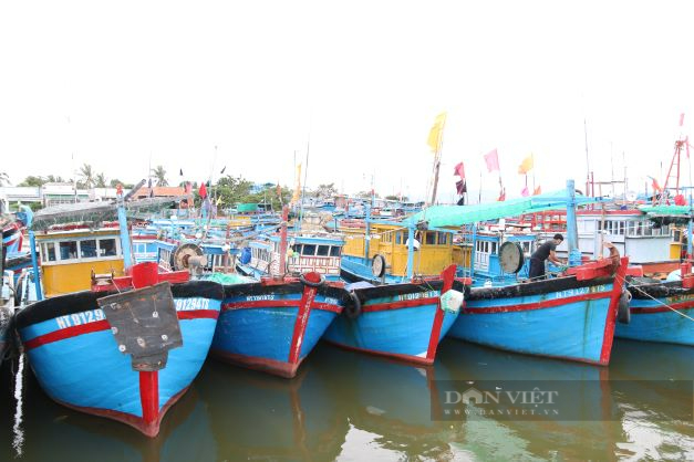 Ninh Thuận: Cấm tàu thuyền ra khơi để phòng chống bão số 4 – Noru - Ảnh 3.
