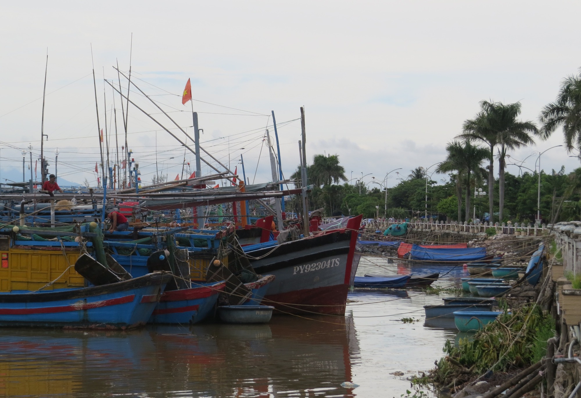 Bão số 4: Phú Yên cấm biển, giám sát chặt hồ chứa - Ảnh 1.