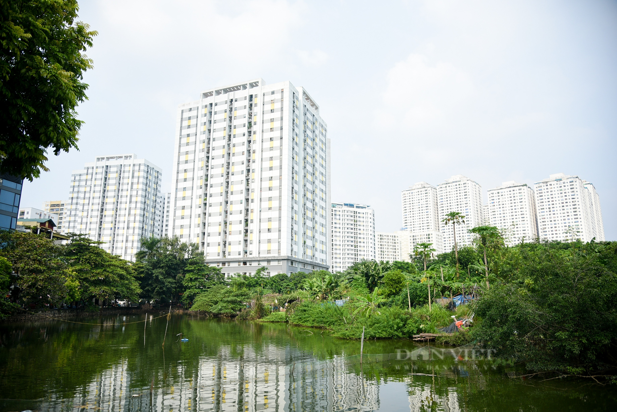 Cận cảnh các khu đất trường học, cây xanh ở Hà Nội bị quy hoạch vào nghĩa trang ở Thủ đô  - Ảnh 5.